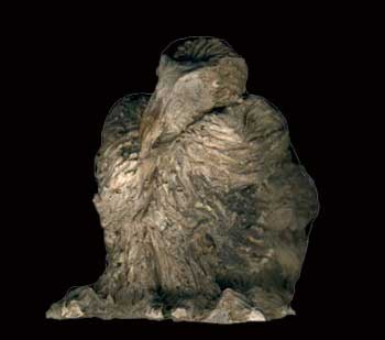 sculpture terres melangées émaillées mat : oiseau III